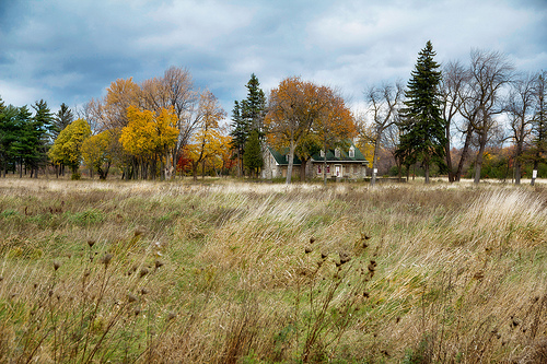 Autumn colors