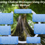 Reiki Meditation Technique: Cleaning Chakra Blockage Using Dry Brush Method