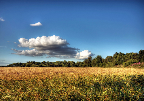 Returning to Balance and Bliss Through Reiki