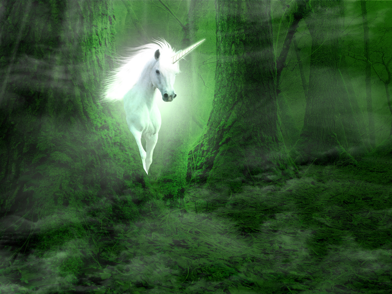 Unicorn Reiki