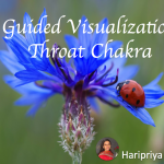 Guided Visualization - Throat Chakra