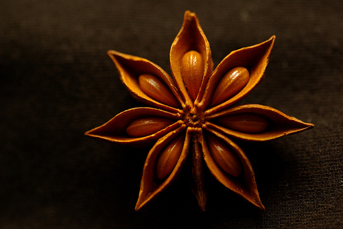 Healing with Star Anise