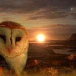 Reiki Owl Meditation