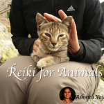 Reiki for Animals