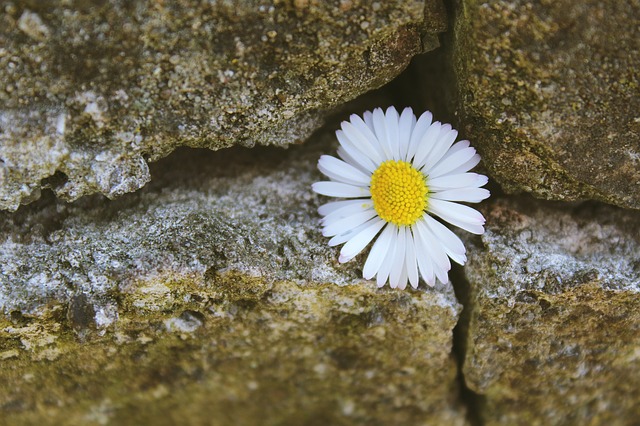 Reiki helps with the aftermath of Domestic Violence