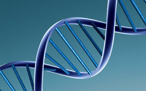All about DNA strands activation
