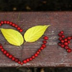 Reiki your deceased loved ones to ease their path!!