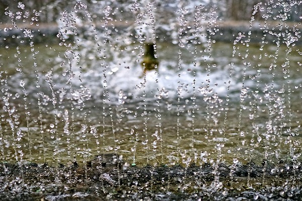 Reiki Shower