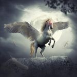 Empower your Feminine Energies - Communicating with Moon & Unicorn’s Animal Spirit