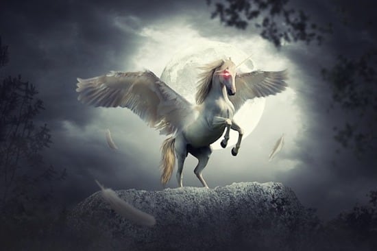 Empower your Feminine Energies - Communicating with Moon & Unicorn’s Animal Spirit