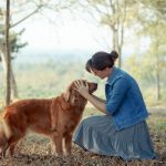 Animal Reiki - Healing Insights