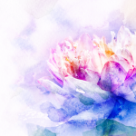 Keeping Our Power In Times of Great Change: The Reiki Principles in Practice
