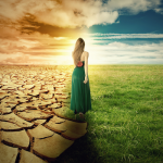 The 2020 Timeline Jump to the New Earth