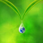 Reiki Assists Conflict Resolution