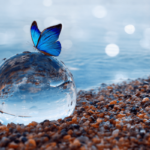 From Hands On to Virtual: A Transitioning Practice