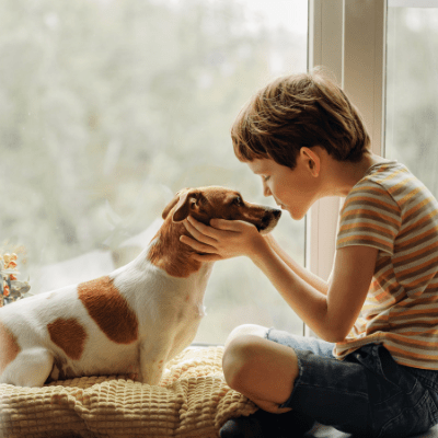 8 Quick Reiki Tips and Symbols for New Pet Owners