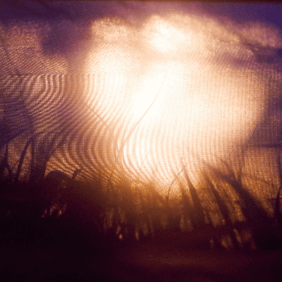 Dealing with Low-Vibrational Entities during Reiki