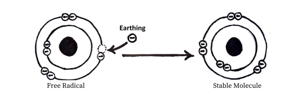 The Science of Grounding