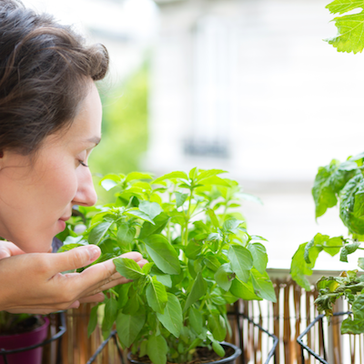Growing a Reiki Garden