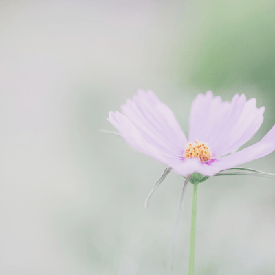 The Spiritual Purpose of Loneliness