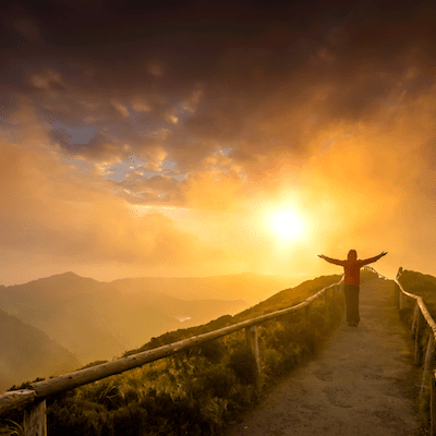 Forging a New Path: The Courage to See the World through Our Reiki Lens