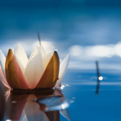 Menstruation Explained Energetically