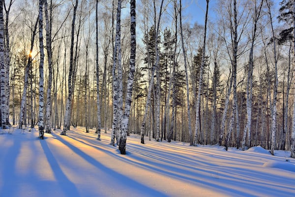 Reiki Nature Ritual for the New Year's