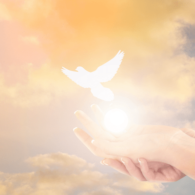 Staying In the Light Through the Darkness