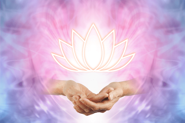 Planting Seeds for a Successful Reiki Business