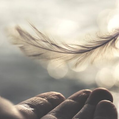 Freewill or Destiny? Which One is More Powerful?