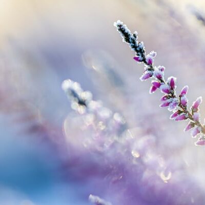 Spiritual Causes for Cold and How to Overcome Them with Reiki