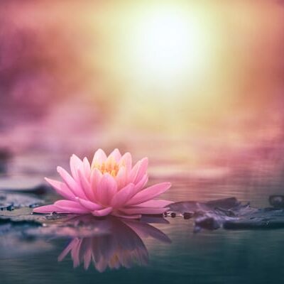 Can We Channel Energy Without Being A Reiki Practitioner?