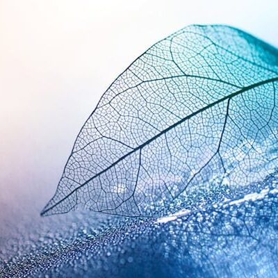 Relief from Varicose Veins Pain through Psychic Reiki Combing