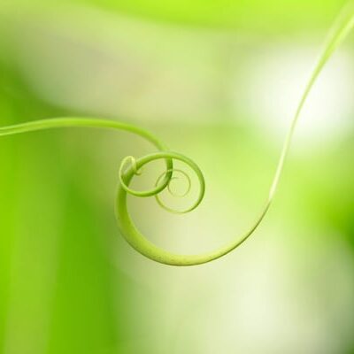 Removing Spiritual Attachments through Reiki