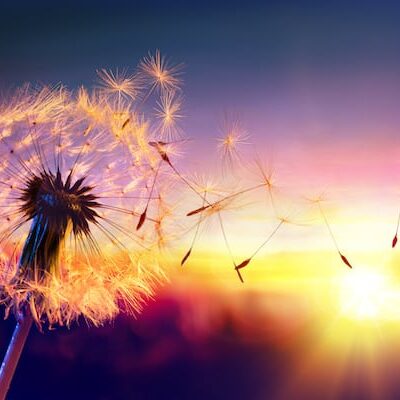 Reiki Healing: Ready for Change?