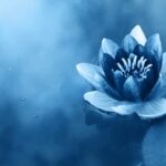 Tattva Reiki
