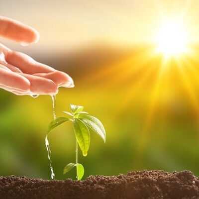 New Beginning Reiki Invocation