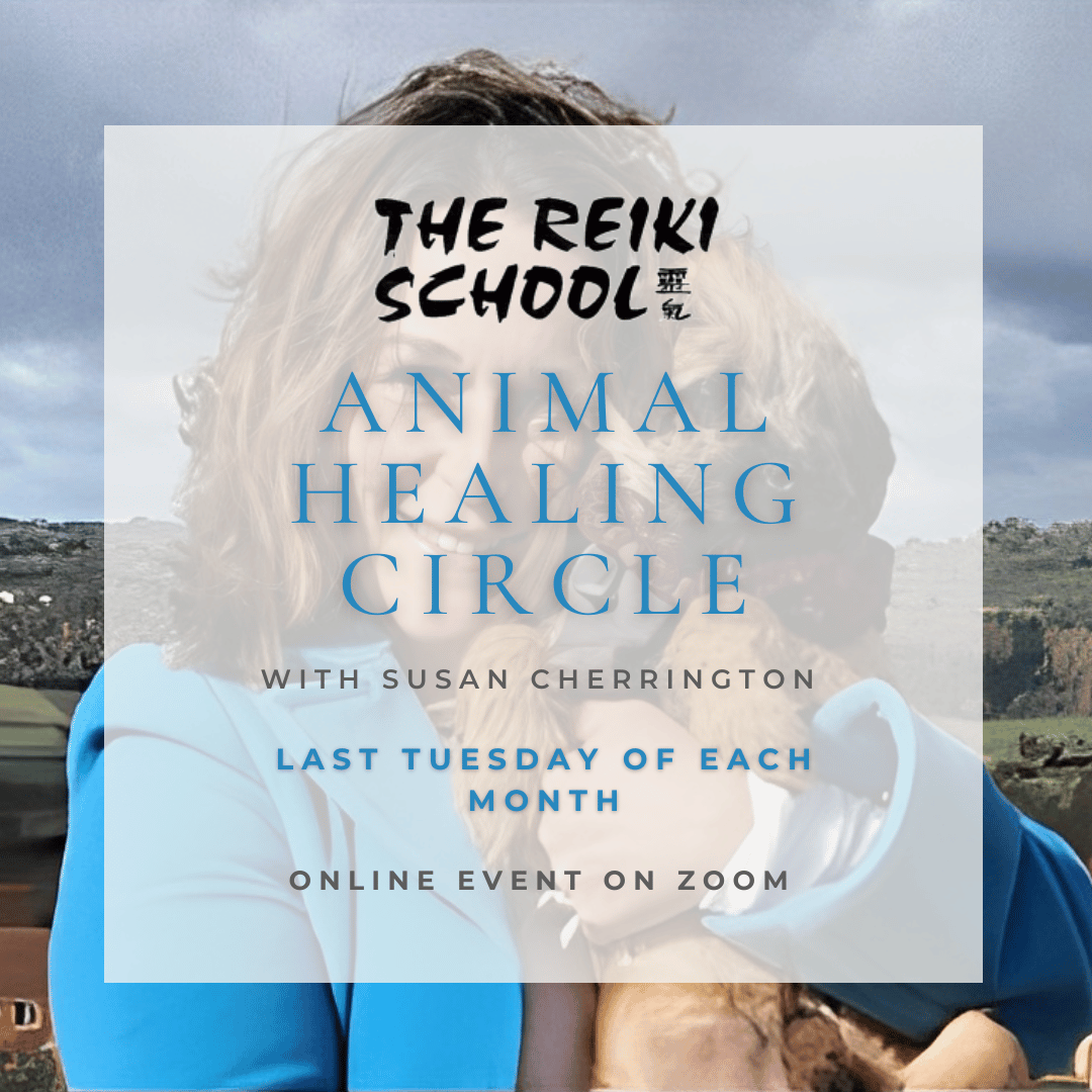 Animal Healing Circle