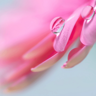 Manifestation Made Easy using Reiki