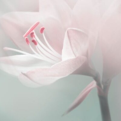 Two Practical Uses of the Fire Serpent Symbol