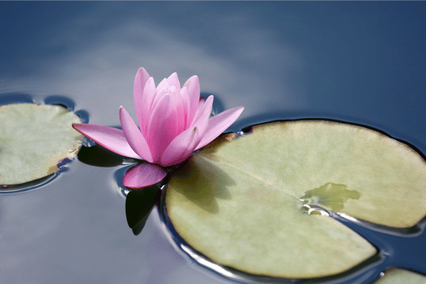 Why It's OK to Take a Break from Professional Reiki