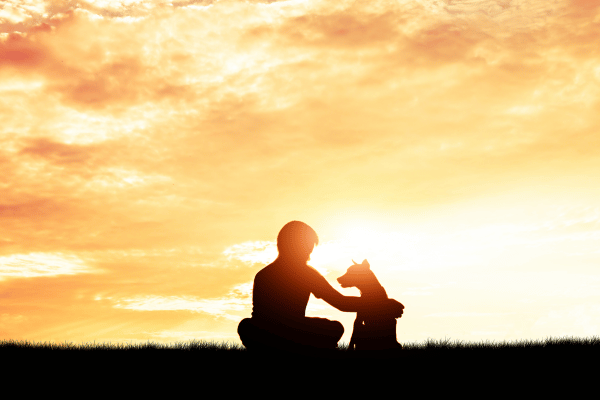 Reiki After Goodbye: Supporting Grief and Honoring Animal Souls