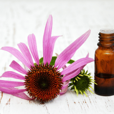 Reiki and Flower Essences – A Perfect Team!