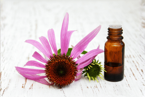 Reiki and Flower Essences – A Perfect Team!