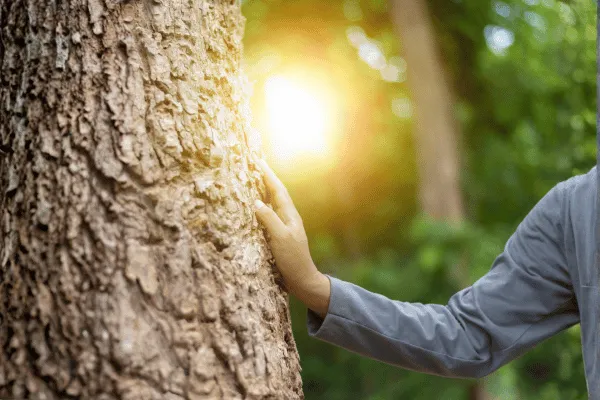 Bridging Cultures Through Reiki - Rooted in Japan, Embraced Worldwide