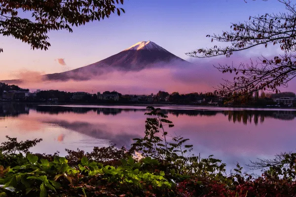 Bridging Cultures Through Reiki - Rooted in Japan, Embraced Worldwide